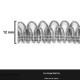 Anterior