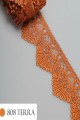 Anterior