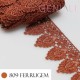 Anterior