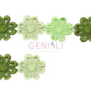 GUIPIR CHL207 225 VERDE MULTICOLOR 2,5CM