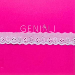 BORDADO 01 BRANCO 2,5CM CTL018 13,7M